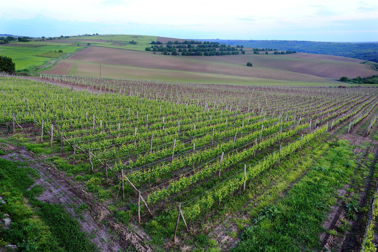 Seven Generations Winery Hotel Mechka エクステリア 写真