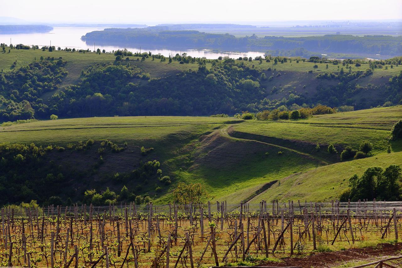 Seven Generations Winery Hotel Mechka エクステリア 写真