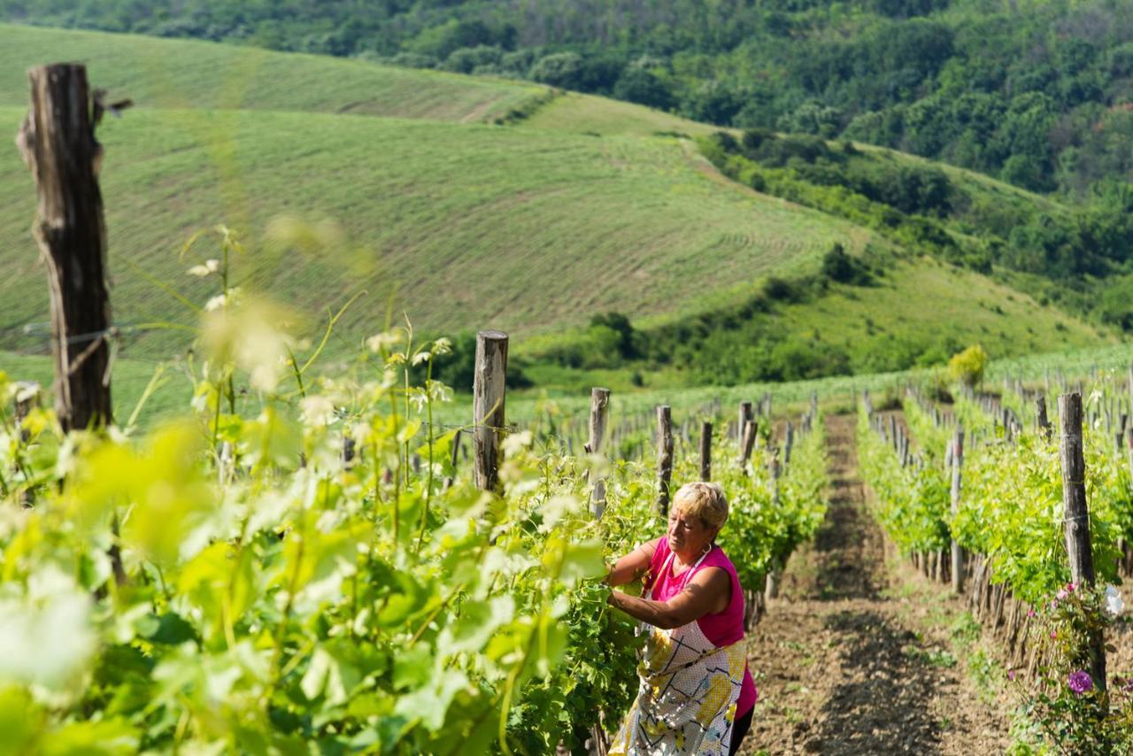 Seven Generations Winery Hotel Mechka エクステリア 写真
